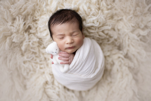 Newborn baby photo shoot in Zurich
